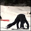 Madonna and daughters skiing in Switzerland