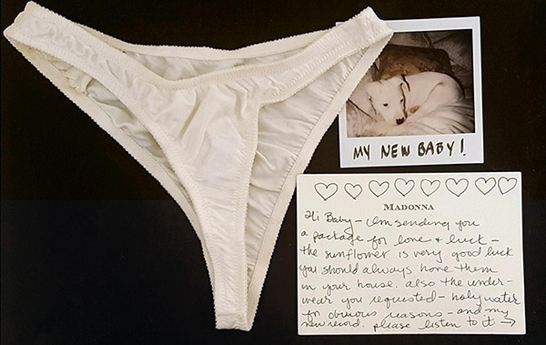 Madonna believed the pilfered panties were still in her possession, according to the affidavit. (COURT DOCUMENT)