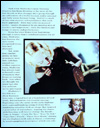 Blond Ambition Tour Book