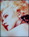 Blond Ambition Tour Book