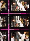 Confessions Tour Book